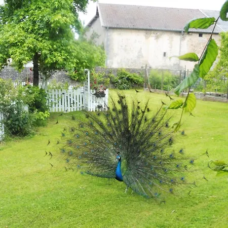 Du Domaine Du Feyel *